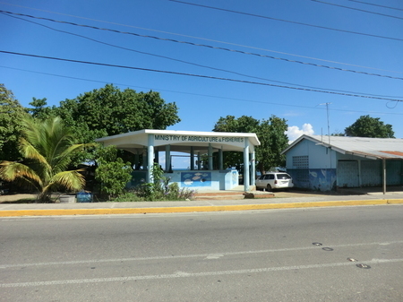 CIMG9607.JPG