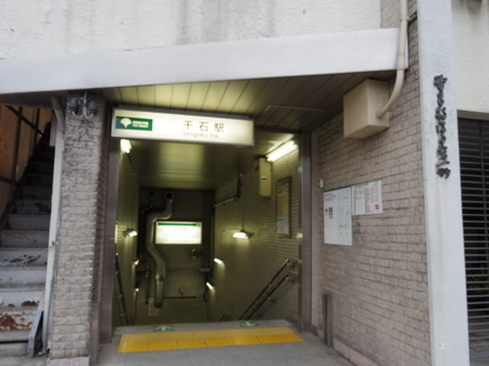 IMGP3597.JPG