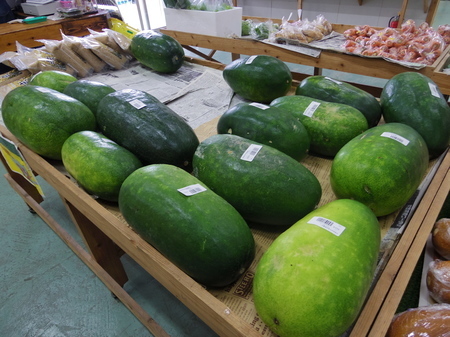 IMGP5979.JPG