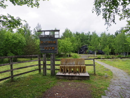 IMGP6911.JPG