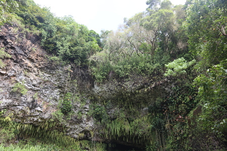 ワイルア川遊覧 シダの洞窟 Wailuariver Ferngrotto 旅猿ロケ地巡り 旅猿69